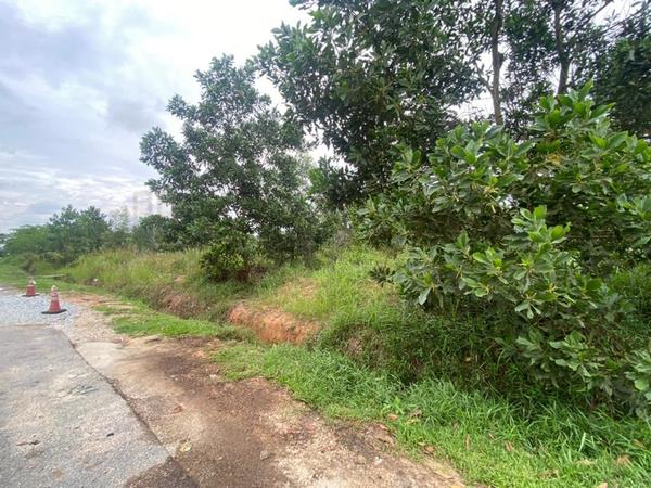 Senai Seelong Industry Land For Sales B