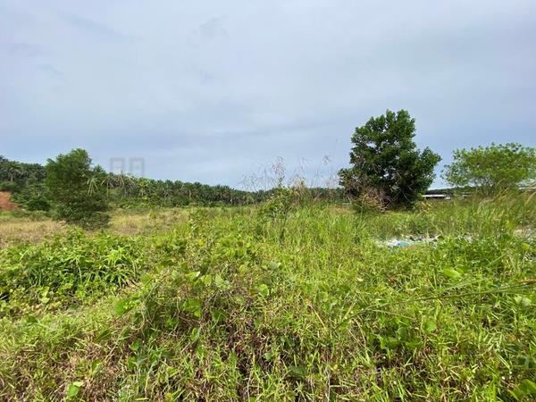 Senai Seelong Industry Land For Sales D