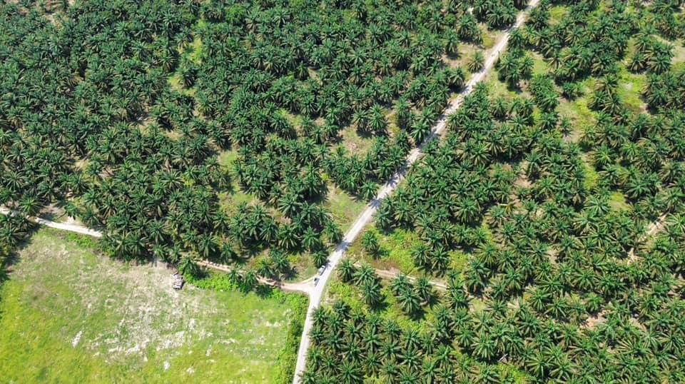 Kulai Agricultural Land for Sale