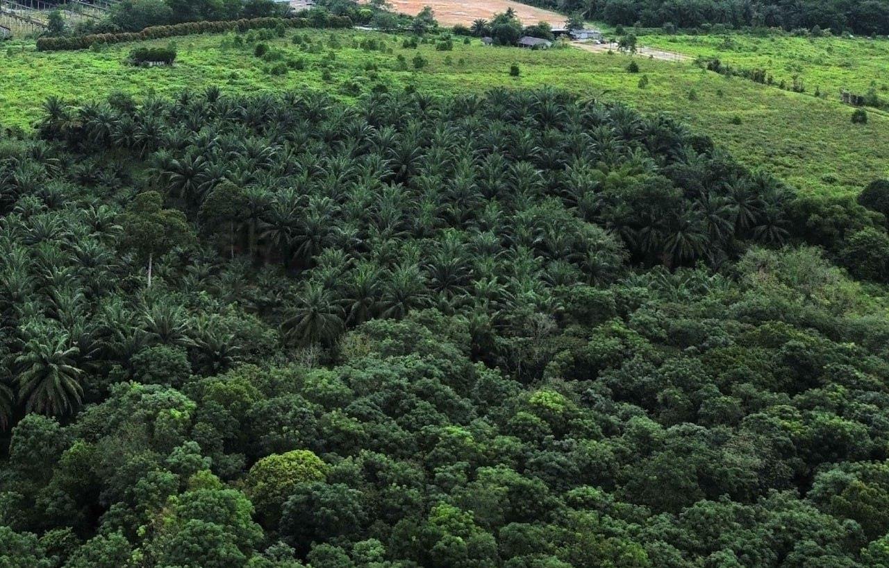 Tanjung Pelepas Gelang Patah Heavy Industrial Land for Sale